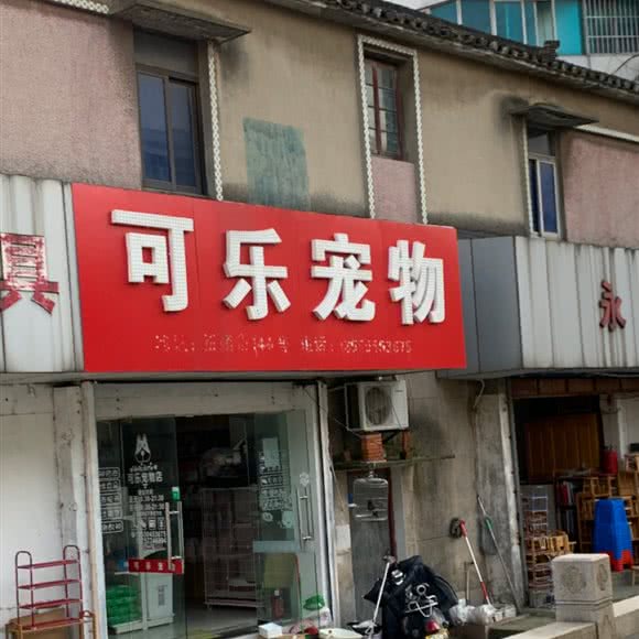牛奶宠物:苏州市常熟市