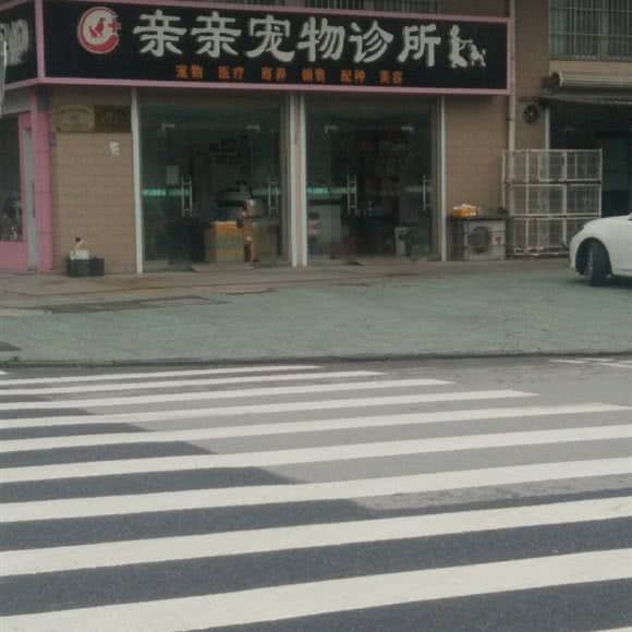 亲亲宠物诊所:苏州市常熟市
