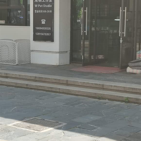 街猫宠物工作室:苏州市张家港市