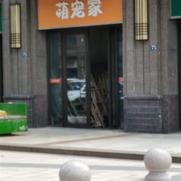 萌宠家:苏州市张家港市