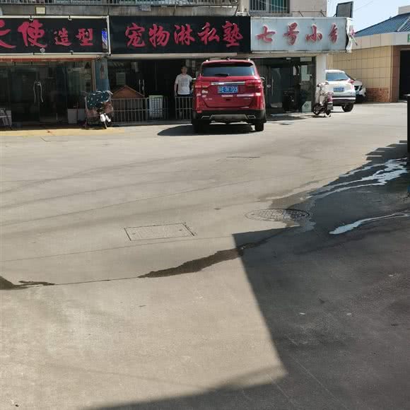 宠物淋私塾:苏州市张家港市