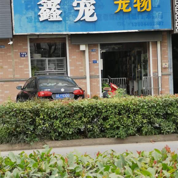 鑫宠宠饬:苏州市张家港市