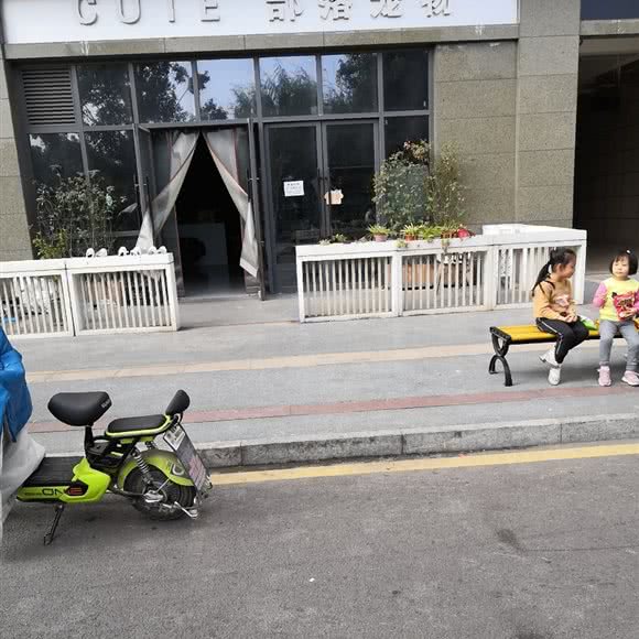 部落宠物:苏州市张家港市