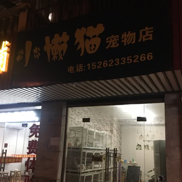 小懒猫宠物店:苏州市张家港市
