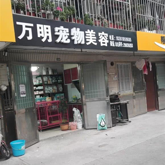 万明宠物美容:苏州市张家港市