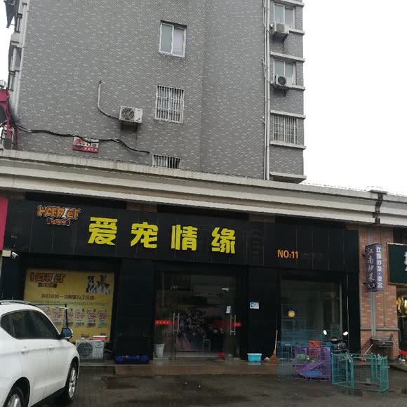 爱宠情缘:苏州市张家港市