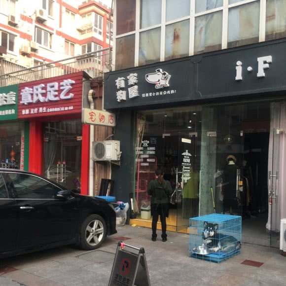 有家狗屋:苏州市张家港市