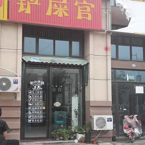 铲屎官:苏州市张家港市