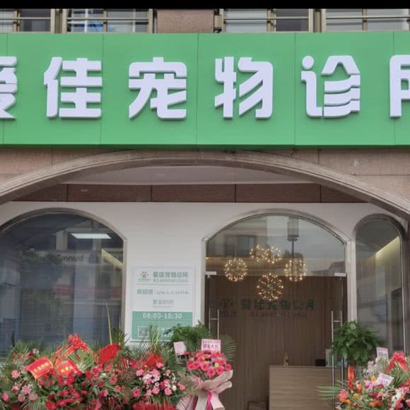 爱佳狗狗诊所:苏州市张家港市