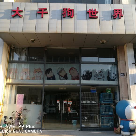 大千狗世界面包店:苏州市太仓市
