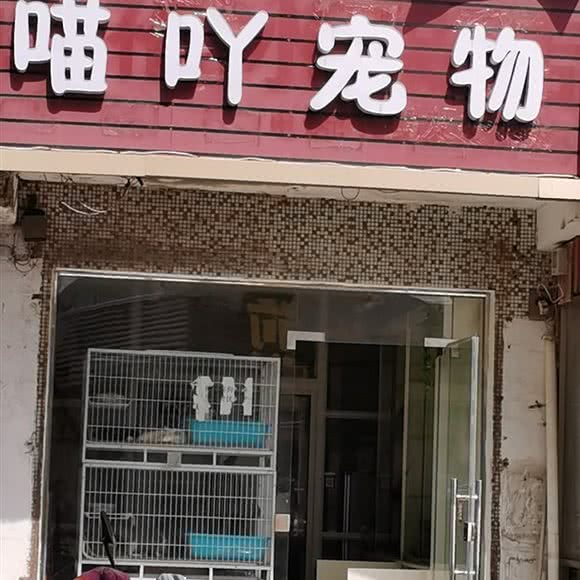 喵吖宠物:苏州市太仓市