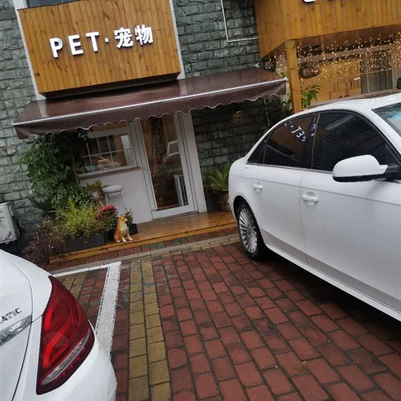 PET·宠物:苏州市太仓市