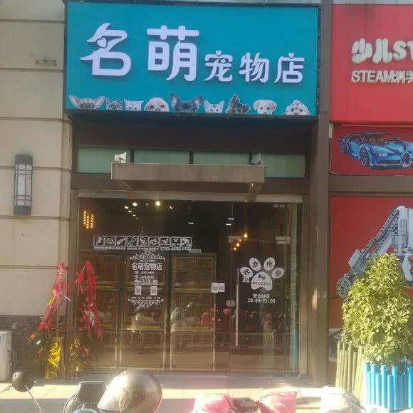 名萌宠物店:苏州市太仓市