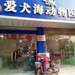 爱犬海动物医院:苏州市太仓市