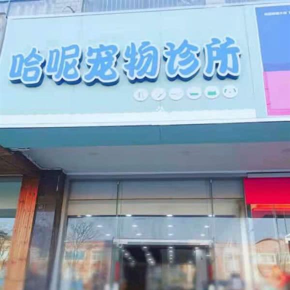 哈呢宠物诊所:苏州市太仓市