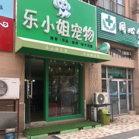 乐小姐宠物:南通市崇川区