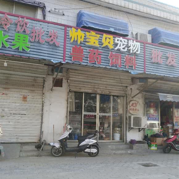 帅宝贝宠物:南通市崇川区