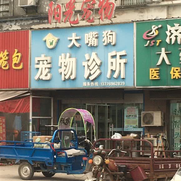阳光宠物:南通市通州区