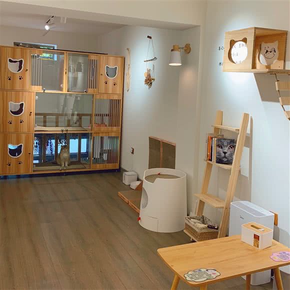 布布喵屋宠物店:南通市通州区