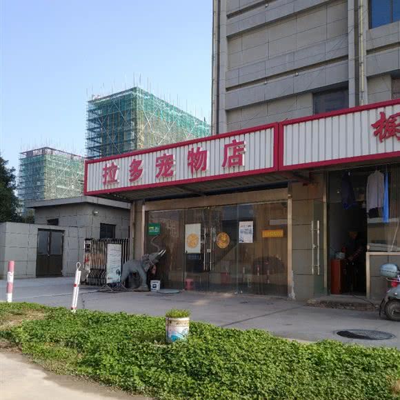 拉多宠物店:南通市通州区