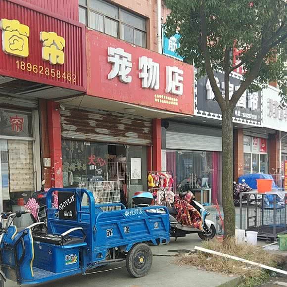 宠物店:南通市通州区