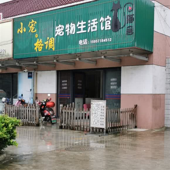 小宠格调:南通市通州区