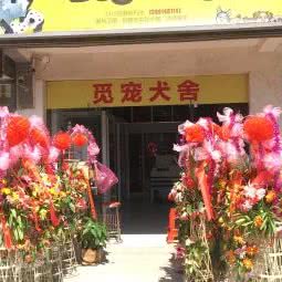 Dog King(觅宠犬舍):南通市通州区