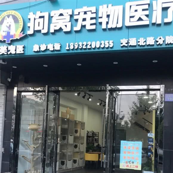 狗窝宠物医疗:南通市通州区