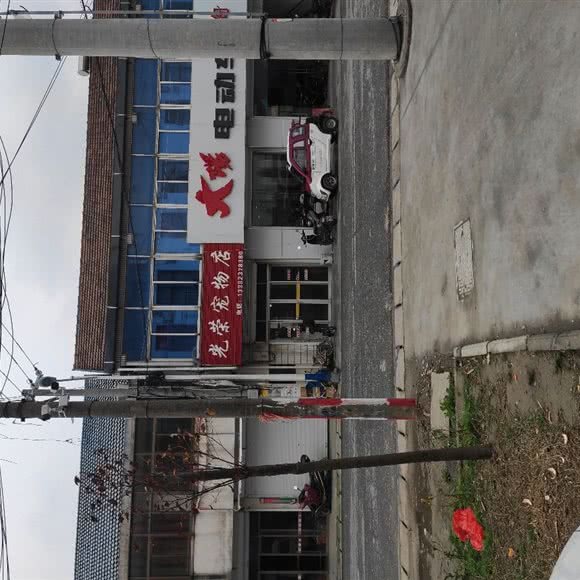 光荣宠物店:南通市如东县