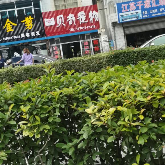 贝奇宠物:南通市如东县