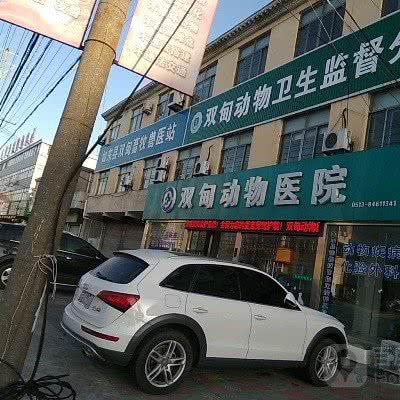 双甸动物医院:南通市如东县