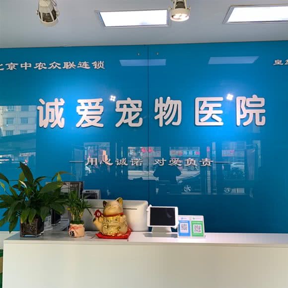 宗室诚爱宠物医院:大同市平城区大庆路附近