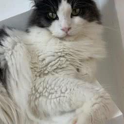 菲菲与猫猫咖:南通市启东市