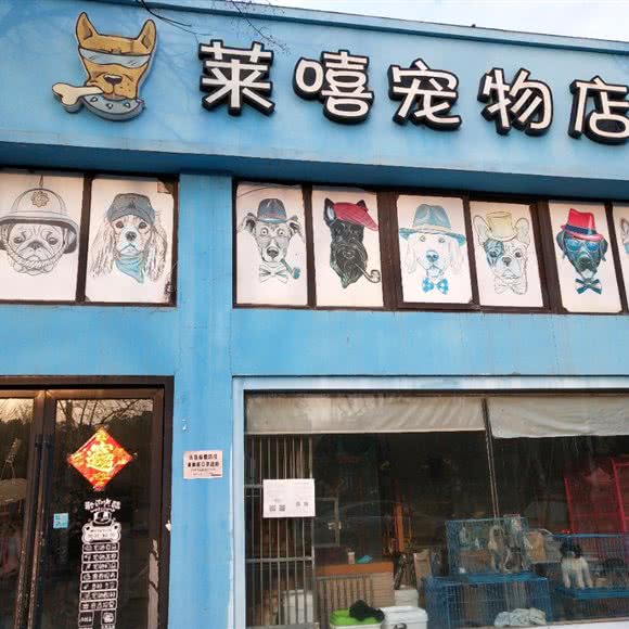 莱嘻宠物店:南通市如皋市