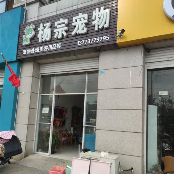 杨宗宠物:南通市如皋市