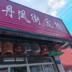 丹凤街宠物(丹凤街店):南通市如皋市