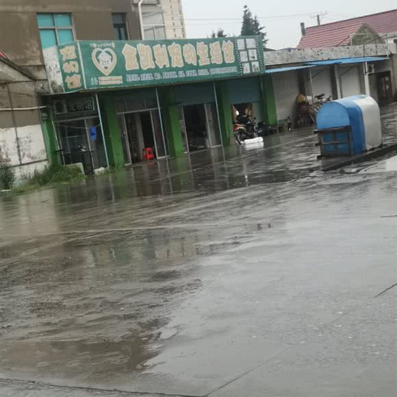 金凯利宠物生活馆:南通市如皋市