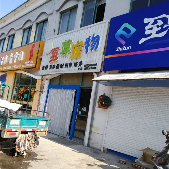 至尊宠物:南通市如皋市
