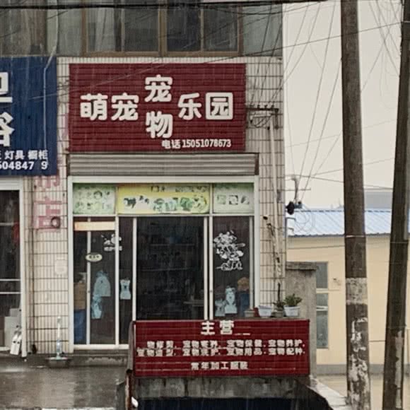 萌宠宠物乐园:南通市如皋市