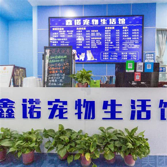 鑫诺宠物生活馆(东信店):大同市云冈区东信附近