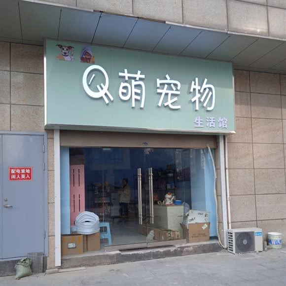 Q萌宠物生活馆:连云港市连云区