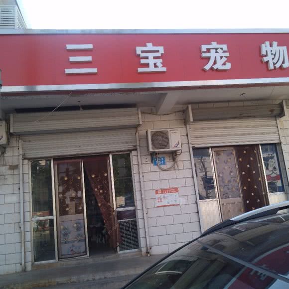 三宝宠物狗:连云港市连云区