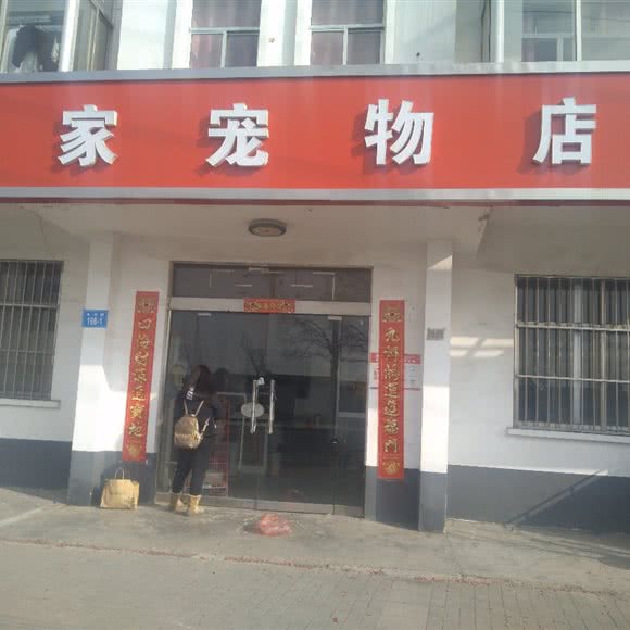 有家宠物店:连云港市连云区