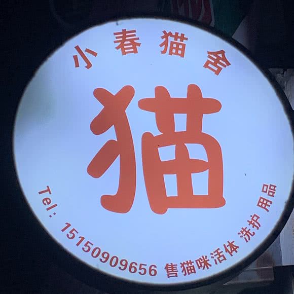 小春猫舍:连云港市海州区