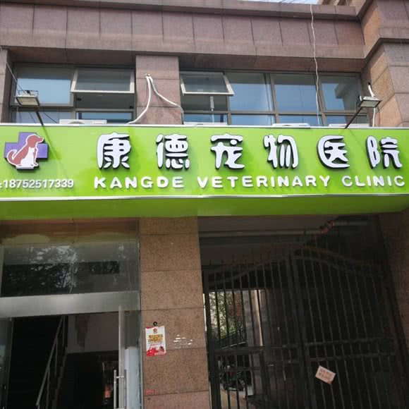 康德宠物医院(恒润郁州府店):连云港市海州区