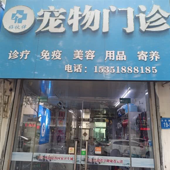 好伙伴宠物门诊:连云港市海州区