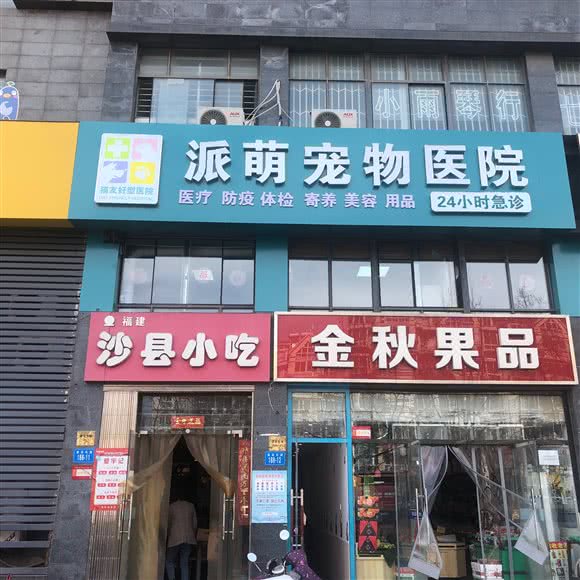 派萌宠物医院:连云港市海州区