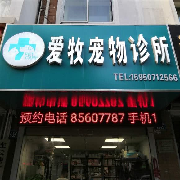 爱牧宠物诊所:连云港市海州区