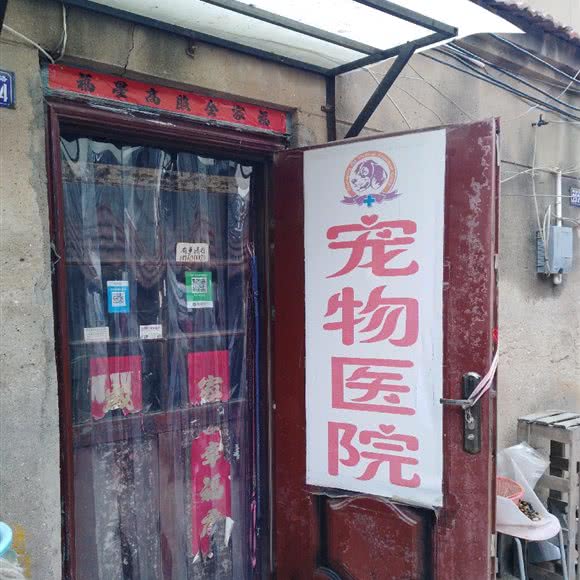 宠物医院:连云港市海州区