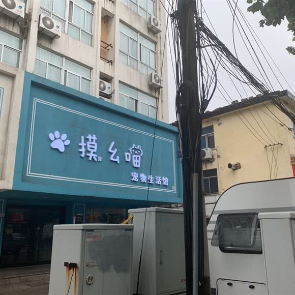 摸幺喵狗狗生活馆:连云港市赣榆区